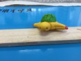 澤藤 卓